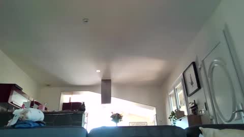 pchittt online show from April 3, 10:44 am