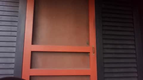 pecos8686 online show from November 9, 3:04 pm