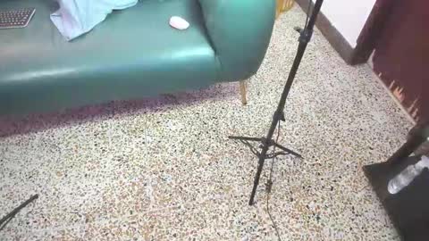 Peter online show from February 21, 6:11 pm