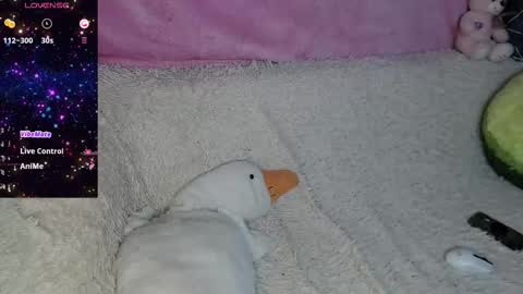 Snapshot of phantommira chatting on September 25, 3:41 pm phantommira online show from September 25, 3:41 pm