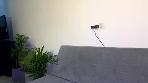 PHILLIP online show from February 1, 1:08 pm