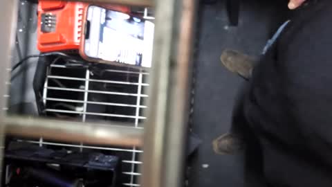 pickleback69 online show from September 21, 7:45 am