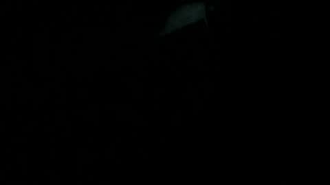 pipper_ online show from June 18, 4:29 am
