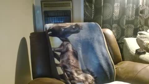 pirate334 online show from February 23, 6:37 am