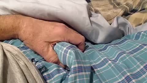 planoeasy online show from December 6, 3:24 am