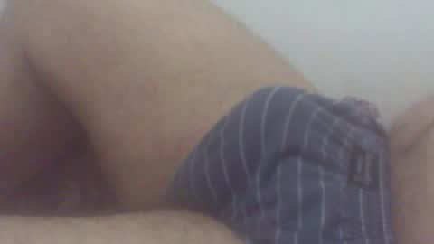 pol2023 online show from June 3, 3:09 am