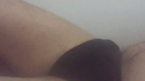 pol2023 online show from August 8, 11:31 am