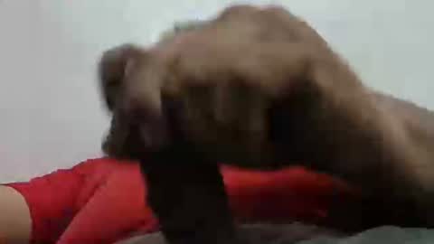 poli online show from May 14, 4:54 am