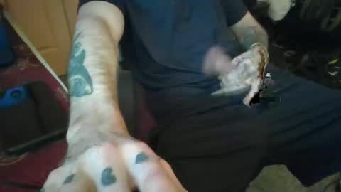 jaws online show from January 23, 1:41 am