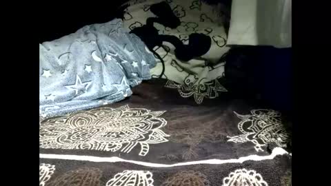 pollachico online show from February 18, 8:36 am