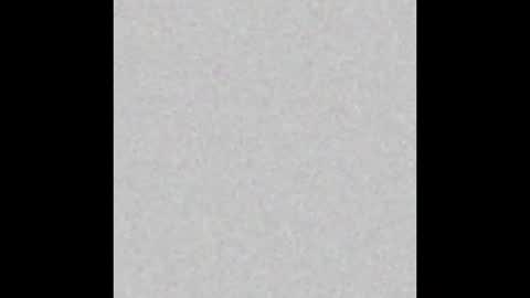 Polly online show from February 25, 8:40 am