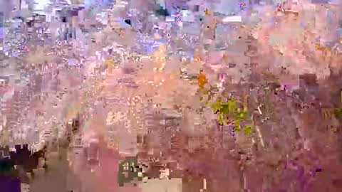 popaulm44 online show from November 16, 12:40 pm