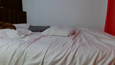 porcelainlux online show from September 14, 8:21 pm