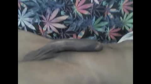 Snapshot of presidentialbryana chatting on January 26, 12:47 am Libra Lamont online show from January 26, 12:47 am