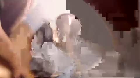 prettybigben online show from October 12, 3:43 am