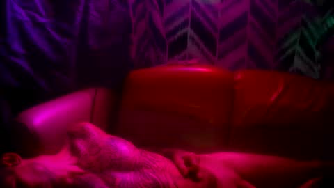 Prettyslangin69 FYPM online show from November 24, 5:11 pm