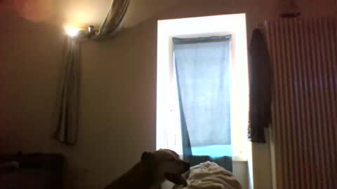 BBW facial slave online show from January 8, 12:44 pm