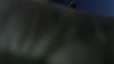 privatefuckit online show from January 5, 9:51 pm