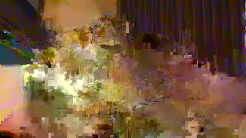 professor21255 online show from September 20, 1:36 pm