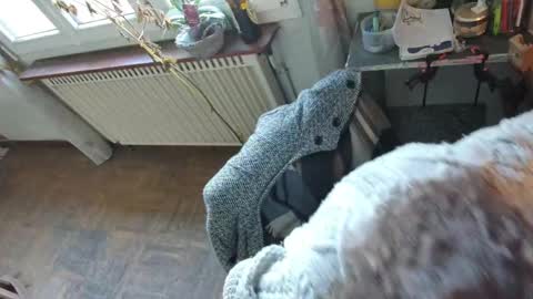 prxscillia_tx online show from March 20, 11:59 am