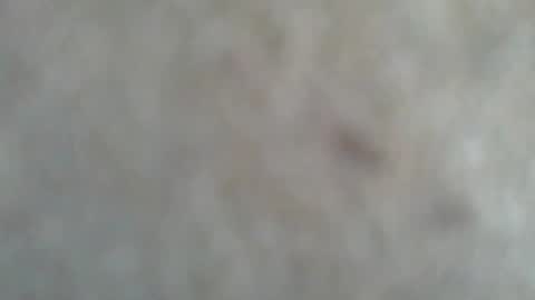 psachno online show from November 10, 12:30 pm