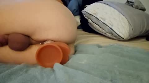 ptut82 online show from September 18, 7:01 am