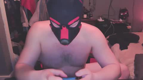 pupdrz32 online show from March 8, 11:14 am