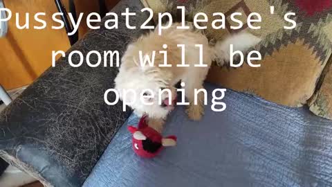 Rick online show from March 11, 10:29 am