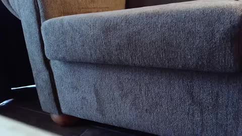 Snapshot of pyrichar31 chatting on September 18, 11:31 pm pyrichar31 online show from September 18, 11:31 pm