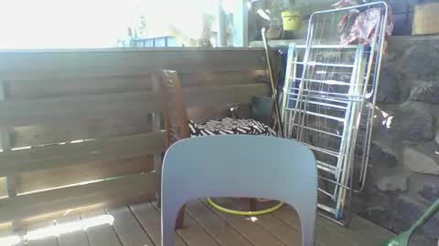 Python online show from April 6, 4:46 am