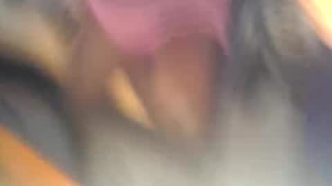 Maila online show from November 19, 10:03 am