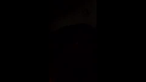 quincycat52 online show from April 3, 1:51 pm