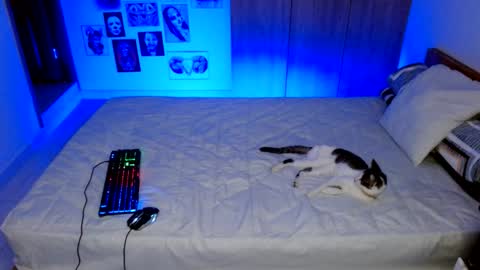 Rachel online show from November 15, 1:29 am