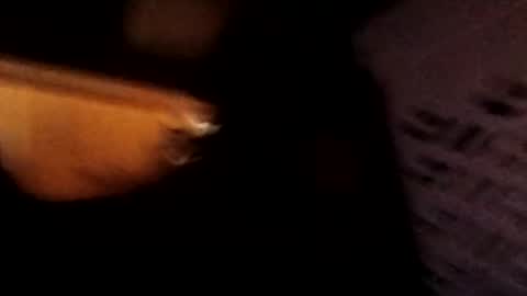 raddy12247 online show from November 5, 5:04 pm