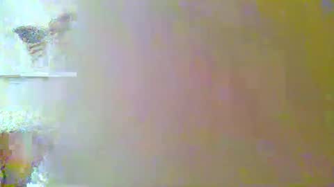 raimond665 online show from February 17, 8:35 am