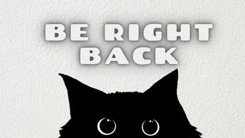 Ray  online show from December 19, 8:26 pm