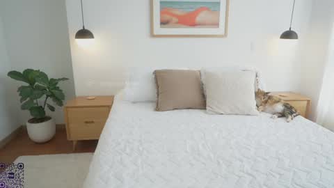 - Maria - Of rebeccastonec - telegram  online show from January 30, 4:13 pm