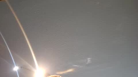 redrodridding online show from November 4, 11:00 am