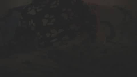 rellyhot10 online show from March 12, 7:06 pm