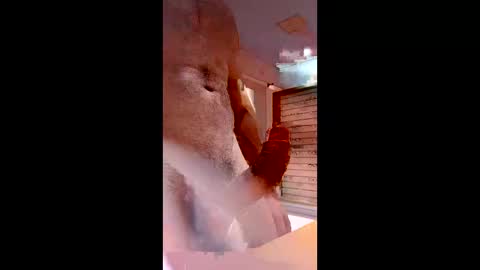 renatocavedon1 online show from April 27, 11:24 pm