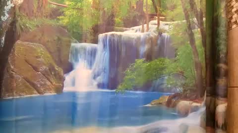 bwc daddy online show from December 9, 9:48 pm