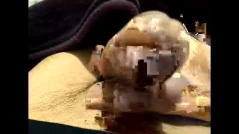 riia362963 online show from March 29, 6:42 pm