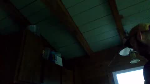 Snapshot of ripperusa33 chatting on October 25, 6:52 pm ripperusa33 online show from October 25, 6:52 pm