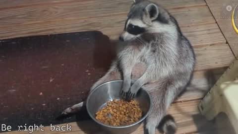 Ryan aka KeylimeRy online show from February 28, 8:42 am