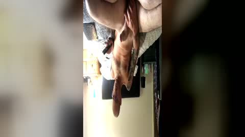 Robes99 online show from June 15, 12:41 pm