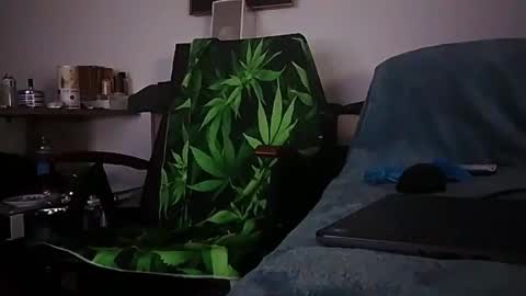 Zenek online show from February 1, 8:00 am