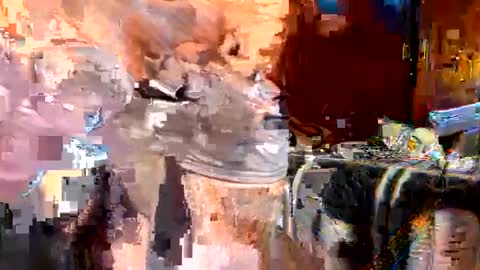 rockdrigo31 online show from November 13, 6:49 am