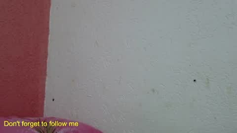 ronny online show from January 31, 10:10 pm