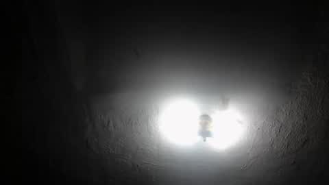 Silver online show from March 9, 7:59 pm