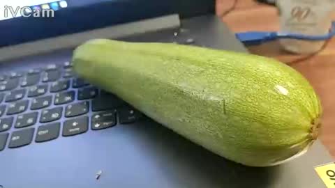 ruber416966 online show from January 12, 9:05 am